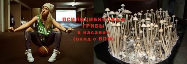 дживик Козловка