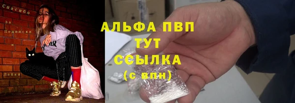 твердый Козельск