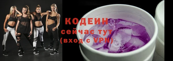 гашик Киренск