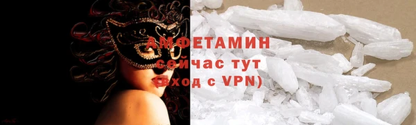 твердый Козельск