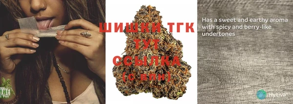 дмт Карпинск